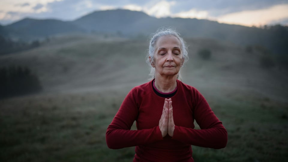 Vagus Nerve Stimulation for Longevity and Living More