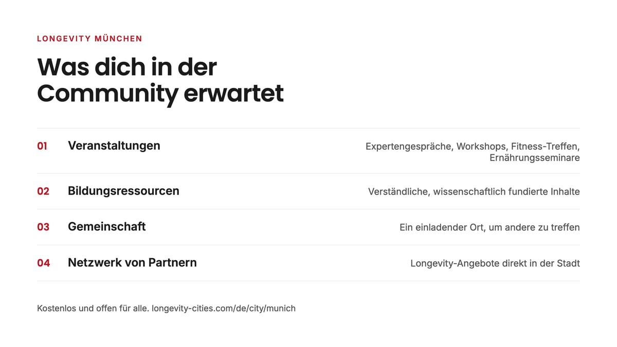 Übersicht der vier Angebote von Longevity München: Veranstaltungen, Bildungsressourcen, Gemeinschaft und ein Netzwerk von Partnern