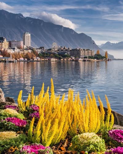 Geneva