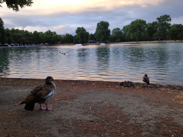 Longevity Picnic and Chats — 2