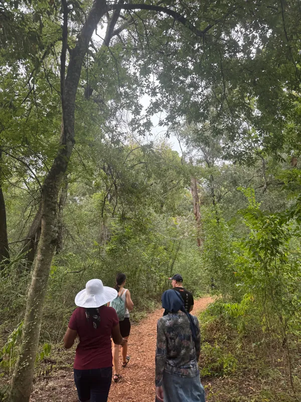 Arboretum City Hike! — 2