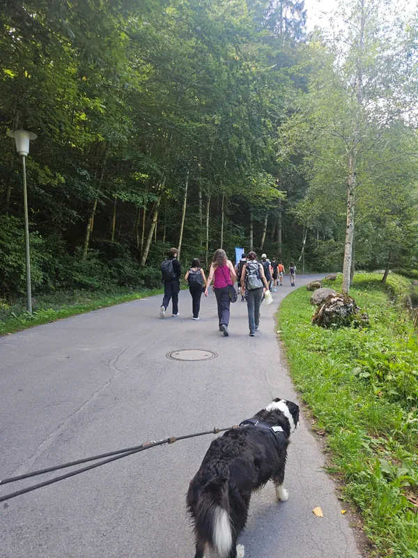 Hike to  Tegernsee | Nymphenruns X Longevity Munich — 8