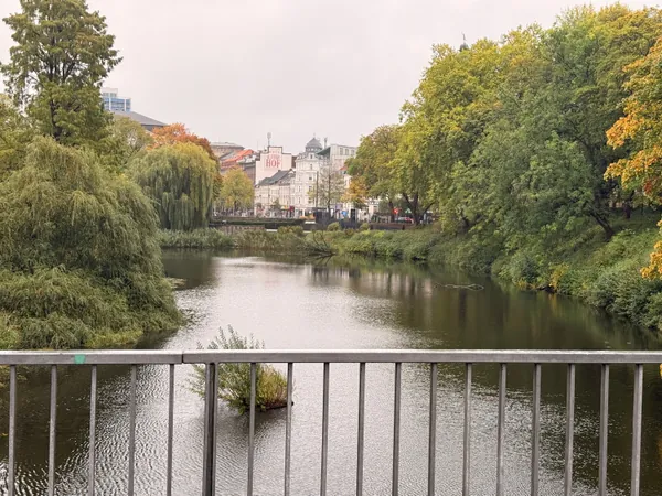 MATCHA & WALK | Longevity Hamburg goes Planten un Blomen — 11