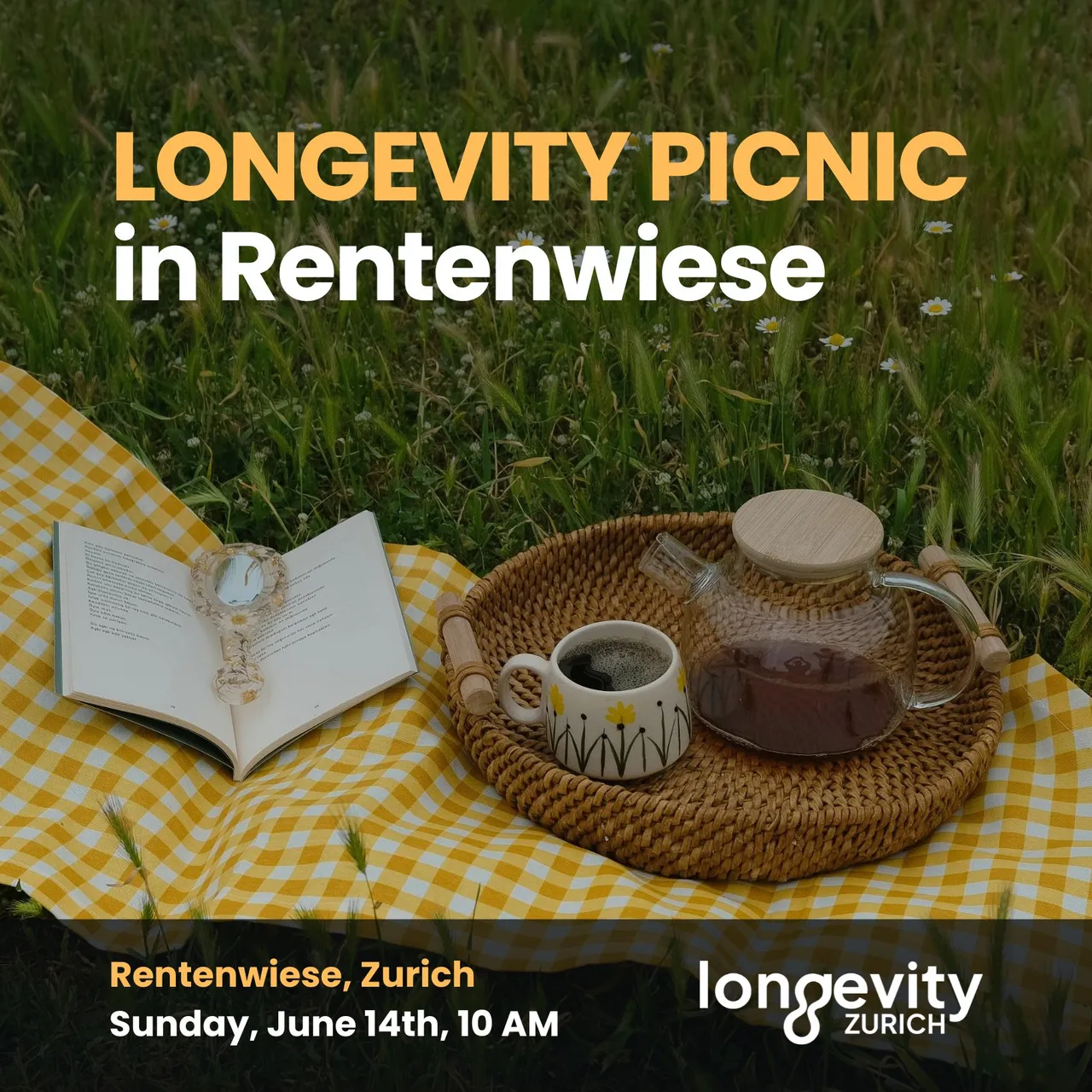 LONGEVITY PICNIC in Rentenwiese