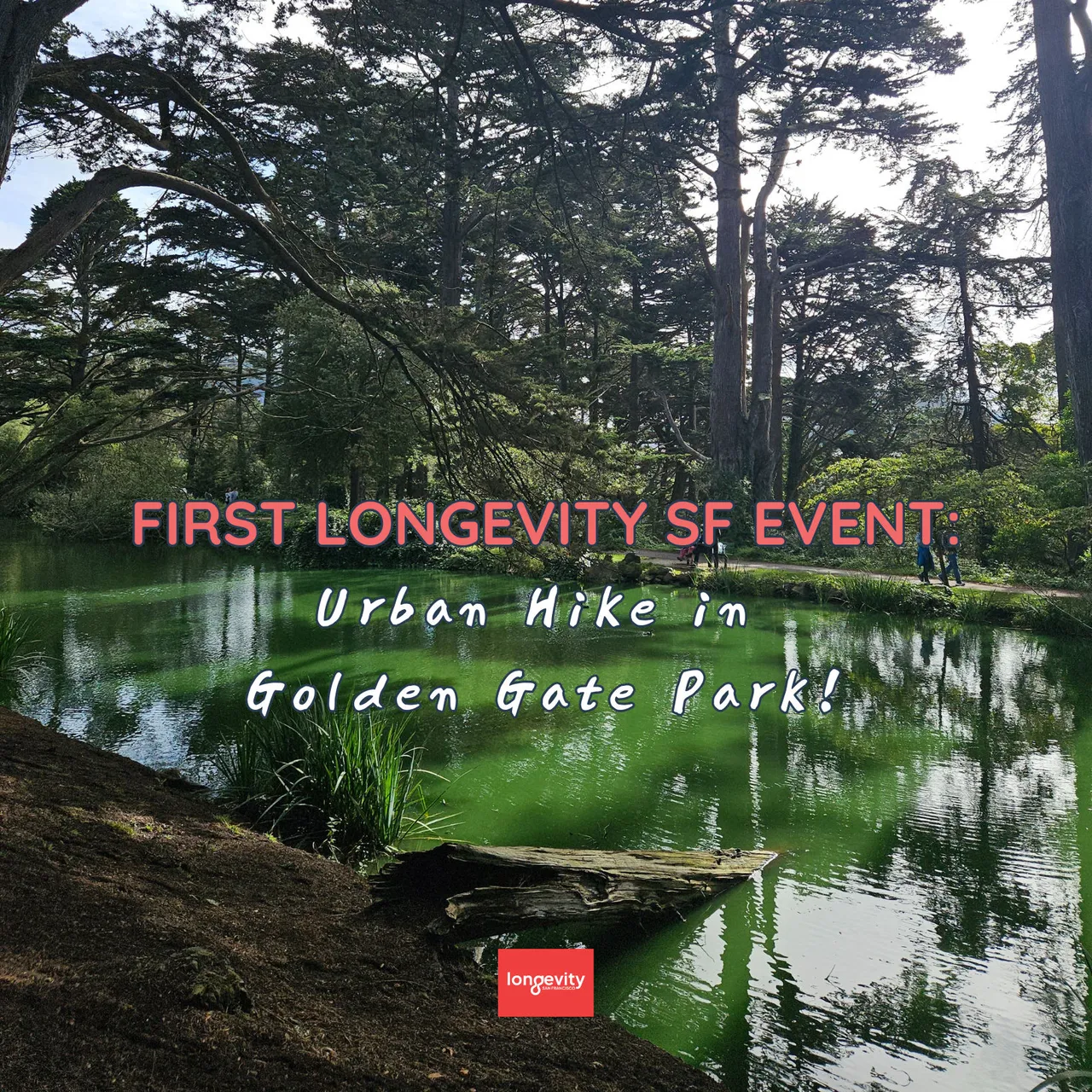 First Longevity SF Event: Golden Gate Urban Hike!🥾