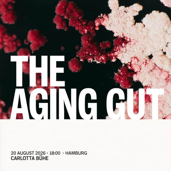 The Aging Gut: The Microbiome's Role in Longevity
